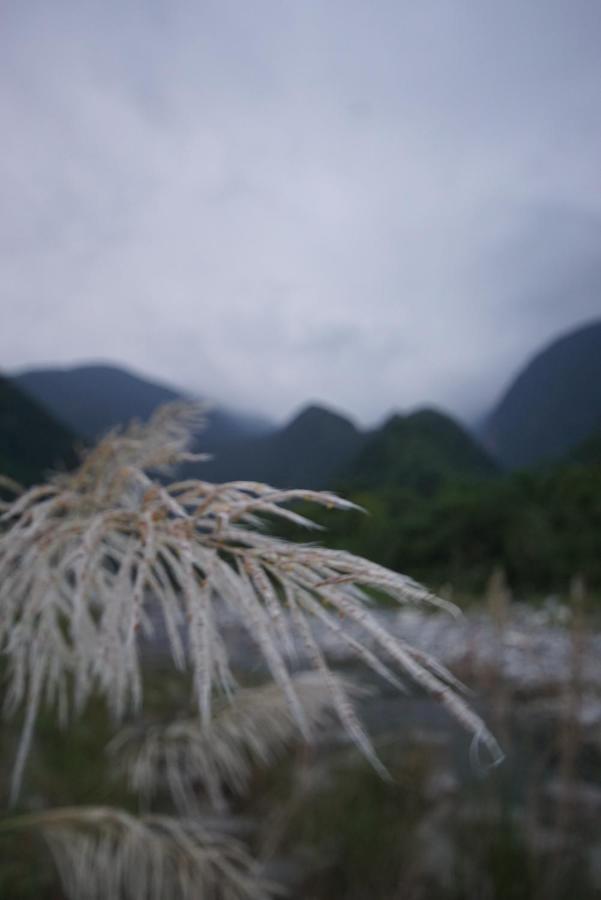 Songyue Homestay Jingmei Buitenkant foto